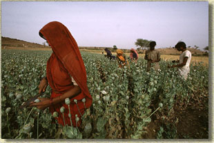 SAARC Conventions and Agreements